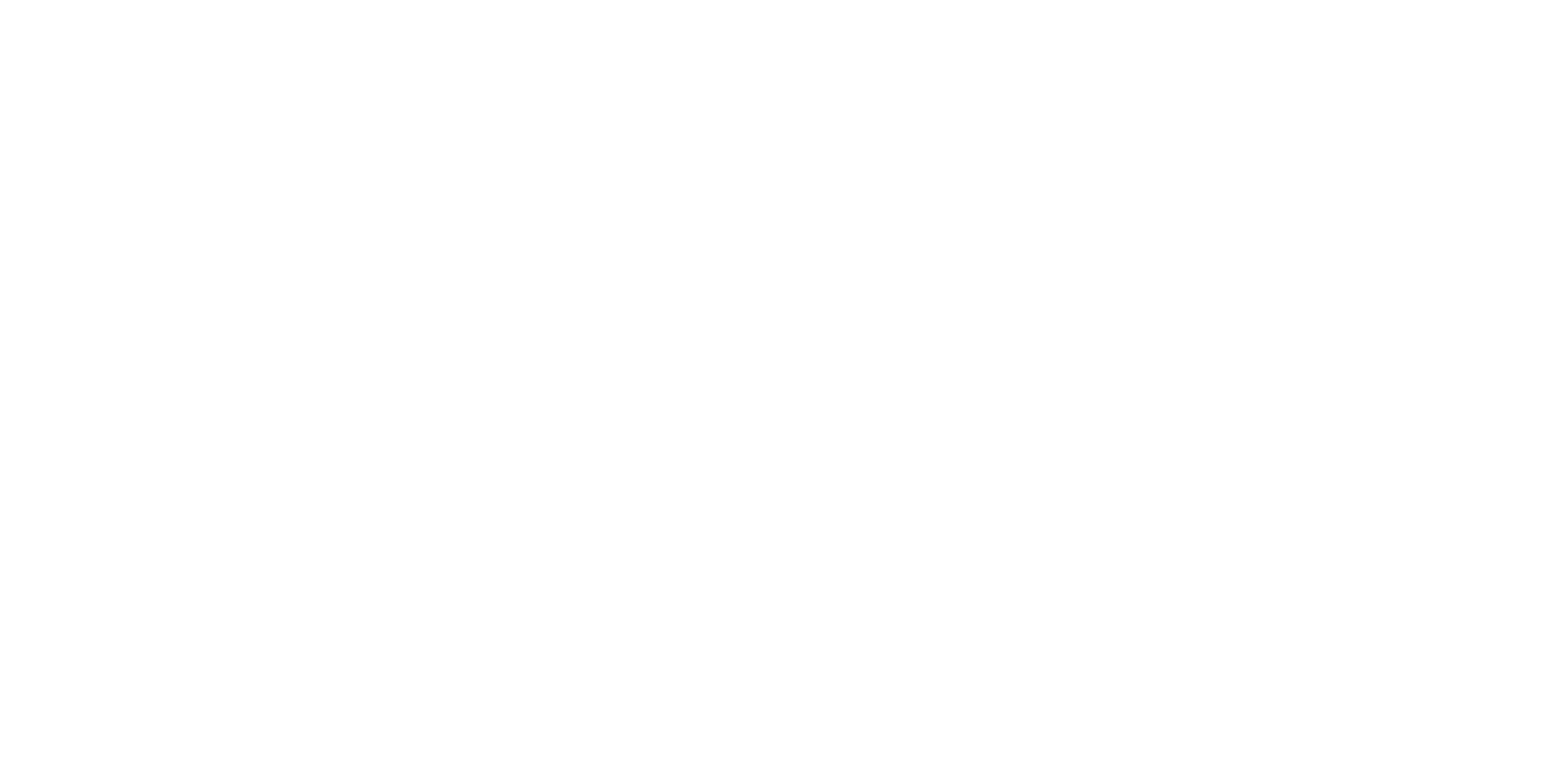 Logo_Askoll_white
